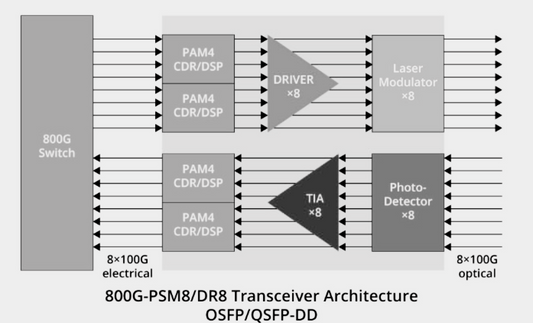Understanding 800G Optical Modules: Types, Applications, and Solutions by Optech