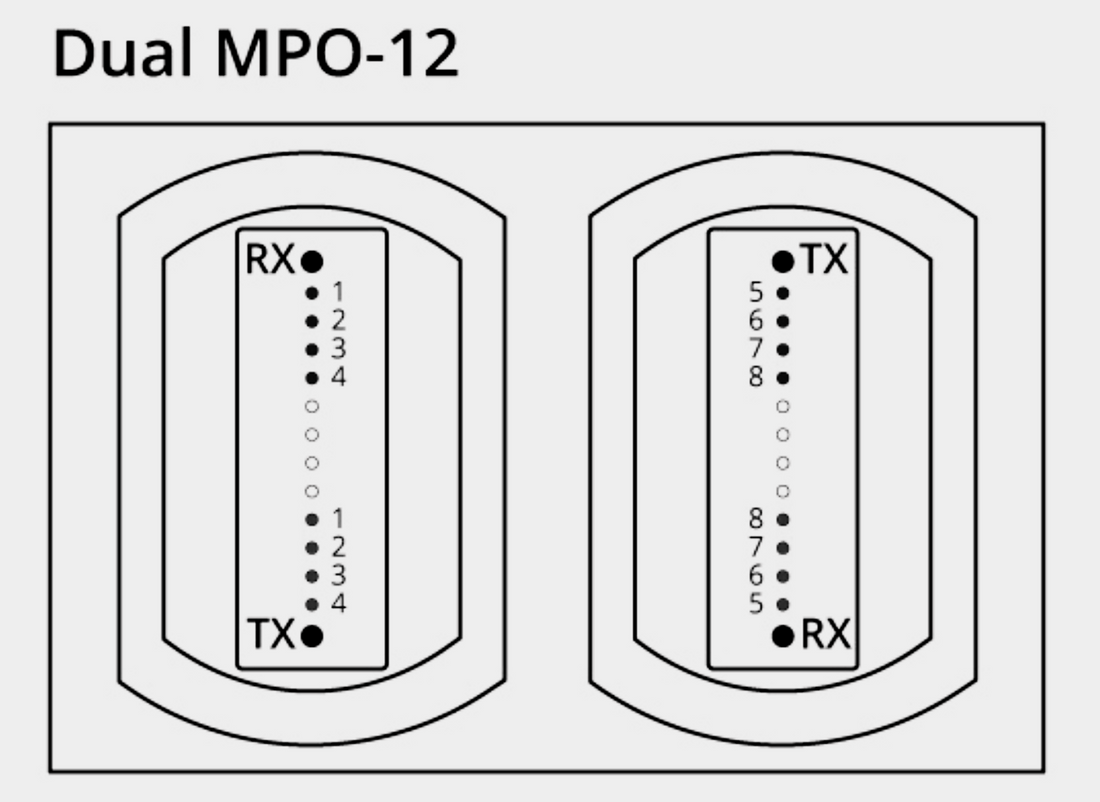 Optech's 800G 2xFR4 and 800G 2xLR4 Modules: Advanced Solutions for Data Center Upgrades