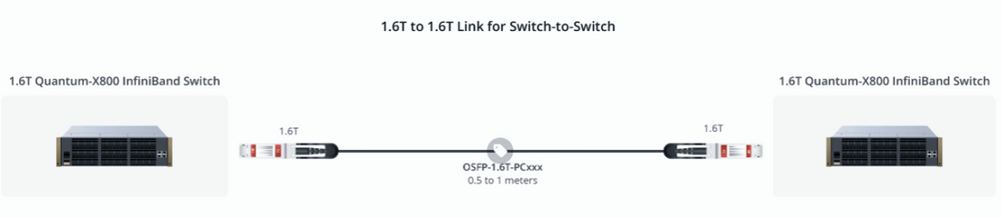 1.6T to 1.6T Link for Switch-to-Switch