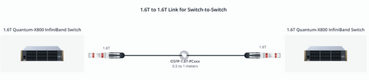 1.6T to 1.6T Link for Switch-to-Switch