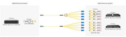 800G-to-Eight 100G Links for Switch-to-Switch Connectivity