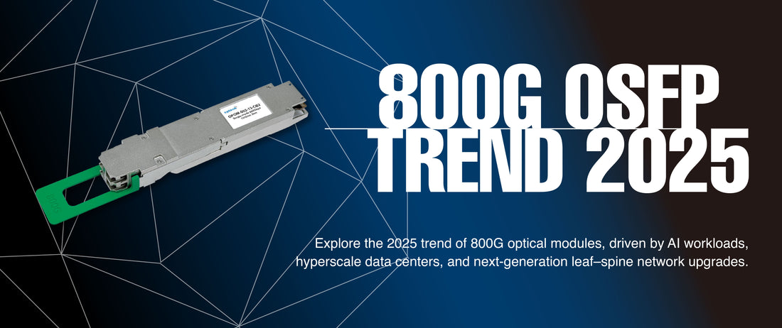 Explore the 2025 Trend of 800G Optical Modules Driven by AI and Hyperscale Data Centers